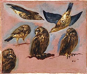 TROIS HIBOUX ET TROIS AUTRES OISEAUX