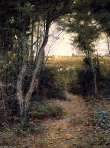 Ti-Tree Glade
