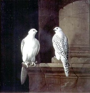 Untitled (aqttcr) — Jakob Bogdani