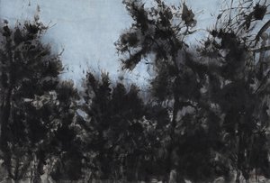 Trees And The Sky In 2014 No.2 — Xu Jiacun