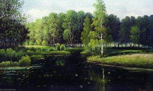 Forest Landscape