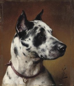 The great Dane