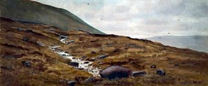 Yorkshire Moors — Harold Hopps