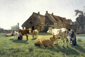 A farm in Venoix