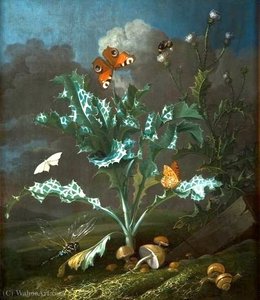 Thistles And Butterflies. — Otto Marseus Van Schrieck