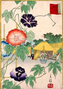Morning Glory — Ando Hiroshige, Ukiyo-e