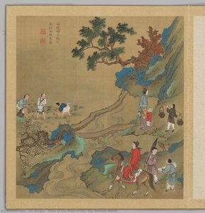 fei zhaoyang