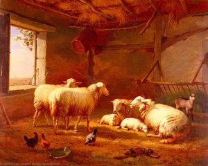 Sheep with chickens and a goat in a barn