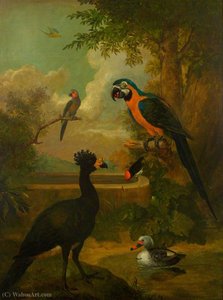 Macaw And Other Birds In A Landscape — Tobias Stranover