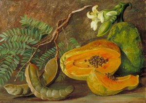 Foliage And Fruit Of The Tamarind, And Flowers And Fruit Of The Papaw In Java — Marianne North, Marianne North Botanical Painting