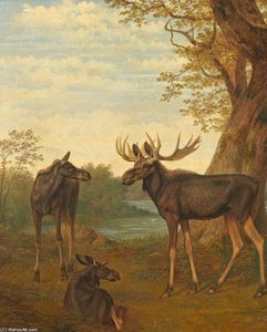 Moose — Jacques Laurent Agasse