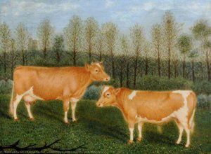 Guernsey Cattle, 'unity' And 'souvenir' — Denys Corbet
