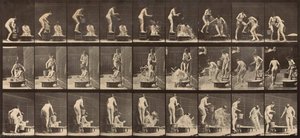 Woman Pouring Basin Of Water Over Another Woman's Head, From The Book Animal Locomotion — Eadweard J Muybridge