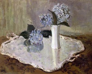 Still Life With Hydrangias — Paul César Helleu