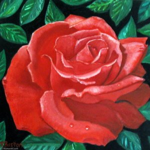 Red Rose
