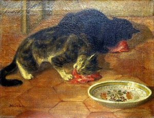 Deux chats mangeant du mou