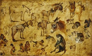 Studies Of Animals (donkeys, Cats And Monkeys) — Jan Brueghel The Elder, Flemish Baroque