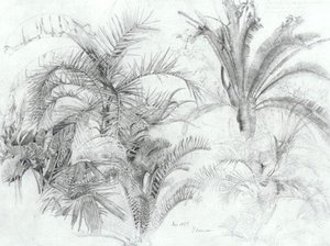 Palms — William Trost Richards