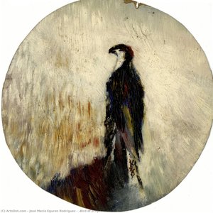 [Bird of prey]