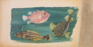 Fishes — Marianne North