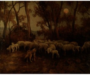 Sheep At Sundown