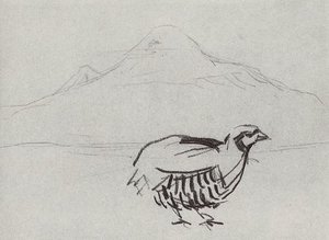 Partridge — Martiros Sarian, Naive Art / Primitivism