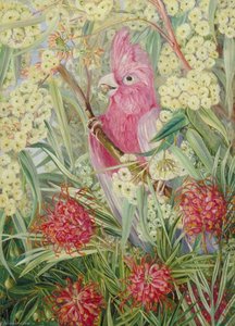 West Australian Vegetation — Marianne North