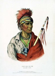 Not-chi-mi-ne. An Ioway Chief — Charles Bird King