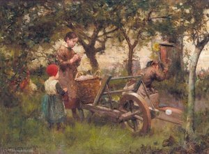 In the orchard