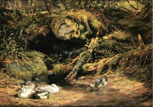 Ducks At The Spring Head — Arthur Fitzwilliam Tait