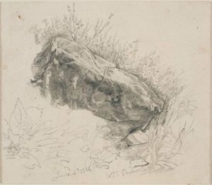 Overhanging Rock With Grasses — William Trost Richards