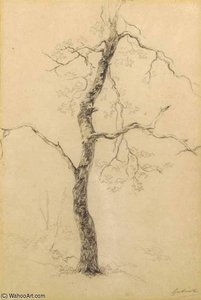 A Study Of A Tree — Paul Joseph Constantine Gabriel