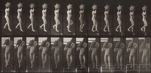 Animal Locomotion, Plate 136 — Eadweard J Muybridge