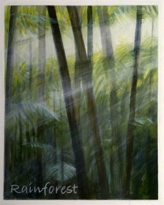 'dreams Of Australia' Series, Rainforest — Antonia Phillips