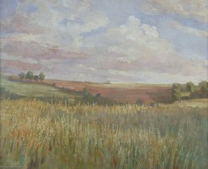 The Cornfield