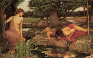Echo And Narcissus — John William Waterhouse, Pre-raphaelite