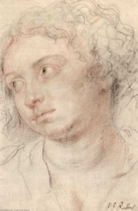 Head Of Woman — Peter Paul Rubens