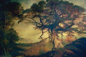 Moor Of Rannoch — Andrew Mccallum