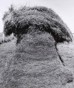 Haystack, Pawnee County, From The Kansas Documentary Survey Project — Larry W Schwarm
