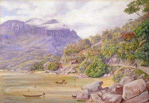 Smelt Fishing At Port Victoria, Mahé, Seychelles — Marianne North