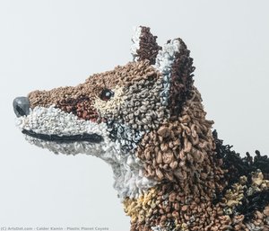 Plastic Planet Coyote — Calder Kamin