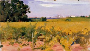 Untitled (6014) — Joaquín Sorolla Y Bastida