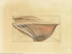 Shell Study — John Ruskin