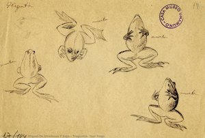Traguntía, Four Frogs — Miguel De Unamuno