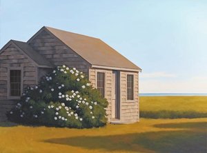 Summer Blossoms — James Netherlands