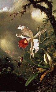 Amethyst Hum With White Orchid — Martin Johnson Heade