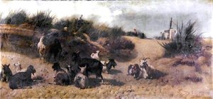 Goats, Outskirts Of Cádiz — Richard Beavis