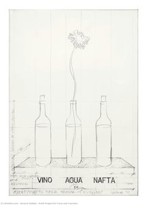 Draft Project For Form And Function — Horacio Zabala