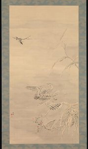 Hawk Grasping A Small Bird — Tsubaki Chinzan