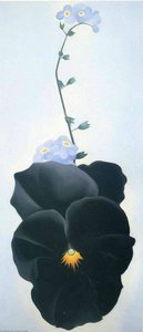 Pansy — Georgia O'keeffe